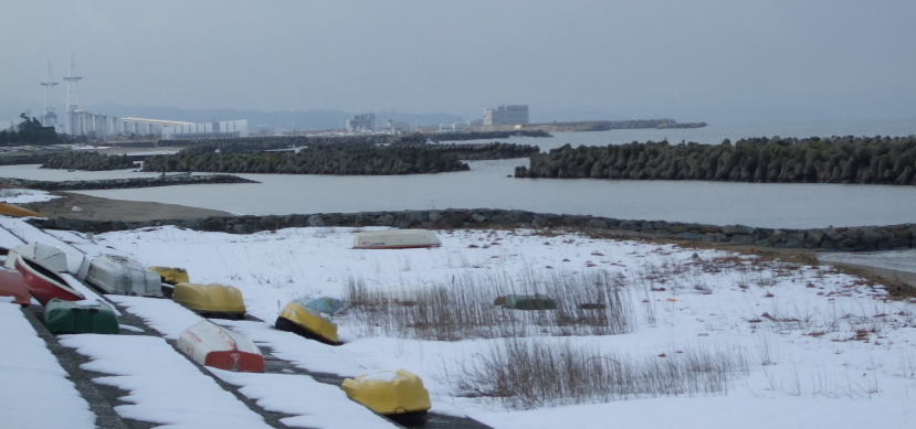 �x�R�p����